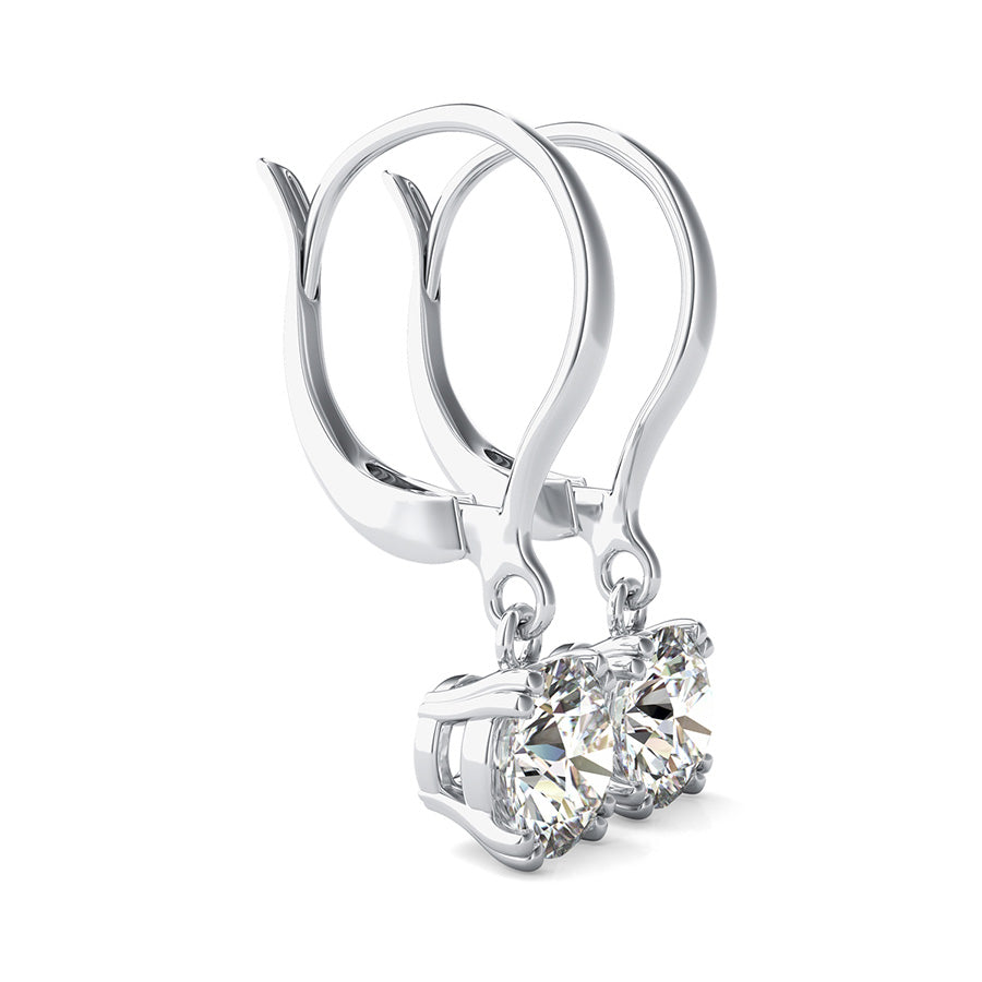 Double Prong Leverback Earrings